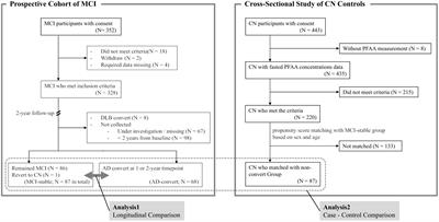 Decreased circulating branched-chain amino acids are associated with development of Alzheimer’s disease in elderly individuals with mild cognitive impairment